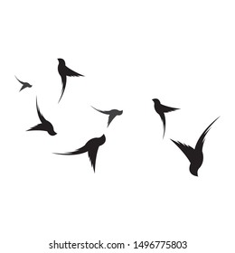 Hummingbird Logo Template vector illustration