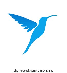 Hummingbird logo vector art and graphics