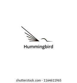 hummingbird logo. vector design