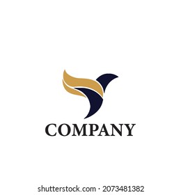 Hummingbird logo vector, design luxury