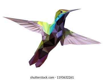 Hummingbird low poly design, geometric design