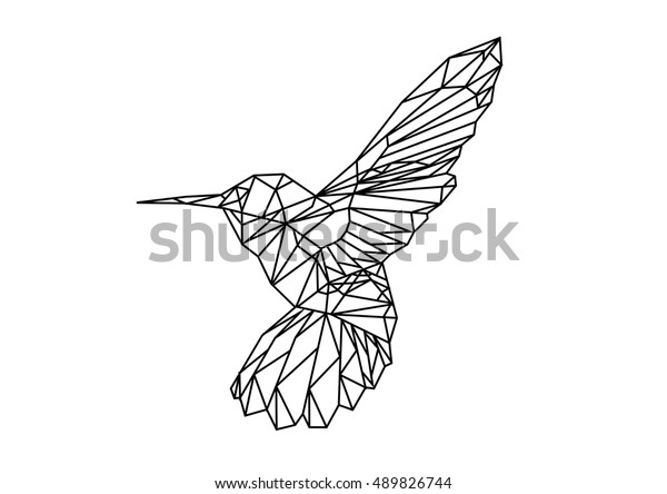 Hummingbird Low Poly Style Line Art Stock Vector (royalty Free) 489826744