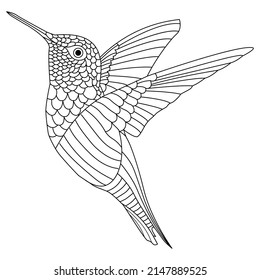 Hummingbird mandala. Black and white line art coloring book page with flying cute hummingbird. Hummingbird vector illustrations for kids.