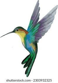 hummingbird on a white background