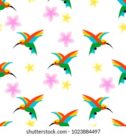 Hummingbird on a white background. vector illustration.
