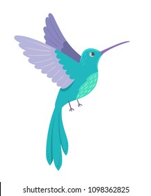 Colibrí sobre fondo blanco. Ilustración vectorial.