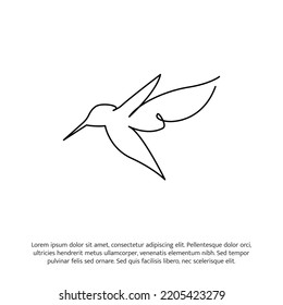 Hummingbird un dibujo de línea continua. Decoración cuidada con elementos dibujados a mano. Ilustración vectorial de estilo minimalista sobre fondo blanco.