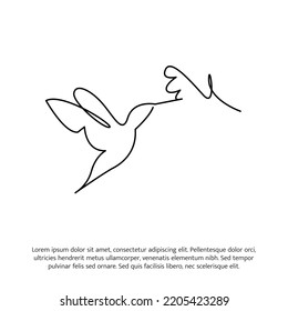 Hummingbird eine fortlaufende Linienzeichnung. Rutsche Dekoration handgezeichnet Elemente. Vektorgrafik von minimalistischem Stil auf weißem Hintergrund.