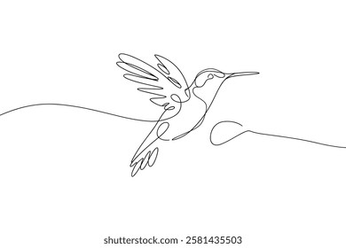 Hummingbird One Line Drawing art