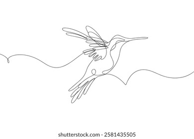 Hummingbird One Line Drawing art