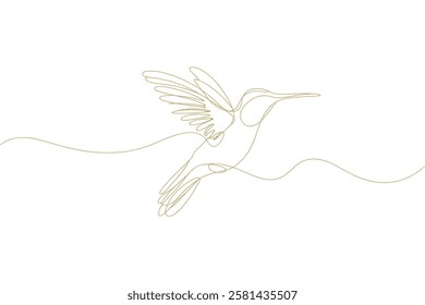 Hummingbird One Line Drawing art