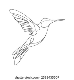 Hummingbird One Line Drawing art