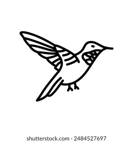 Hummingbird Outline Icon, Vector illustration