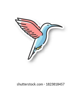 Hummingbird patch. Small exotic bird, Ecuador inhabitant. South and North America fauna. Zoology, ornithology RGB color printable sticker. Tiny colibri vector isolated illustration