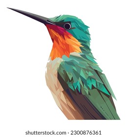 Hummingbird perching on branch over white