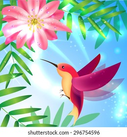 Hummingbird and a pink flower