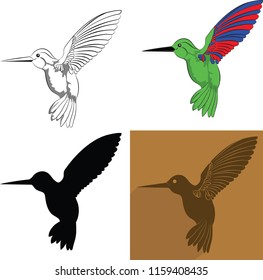 Hummingbird, Polination activity, Beautiful Bird