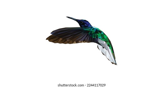 Hummingbird Polygonal Illustration in white background