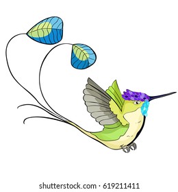Hummingbird rocket tail in flight  Vector illustration