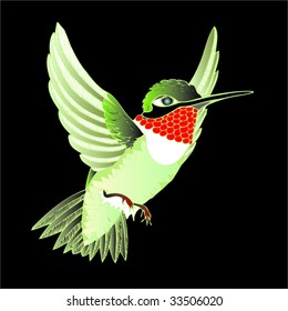 hummingbird, ruby-throated, on black