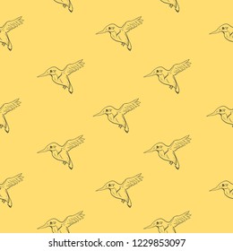 Hummingbird Seamless pattern. Exotic Fashion animal print and textile design. Repeated hand draw, vector illustration. 