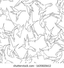 Hummingbird seamless pattern. Exotic theme vector background