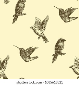 Hummingbird seamless pattern. Hand drawn tropical exotic background. Template for luxury textiles, paper, wallpaper.