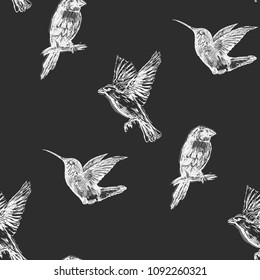 Hummingbird seamless pattern. Hand drawn tropical exotic background. Template for luxury textiles, paper, wallpaper.