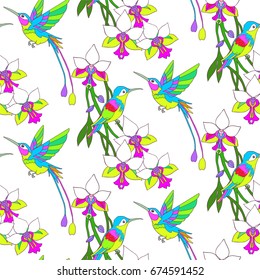 Hummingbird seamless pattern vector illustration.