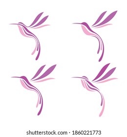 Hummingbird set vector illustration template