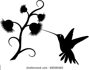 Hummingbird silhouette