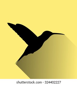 Hummingbird silhouette