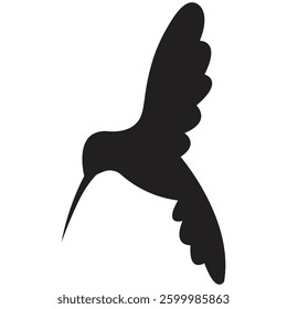 Hummingbird Silhouette | Flying Small Bird Vector Illustration | Elegant Black Wildlife Design