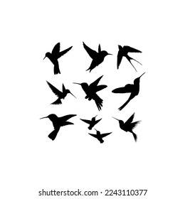 Hummingbird silhouette icon  collection design