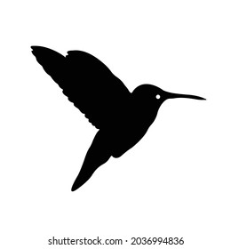 hummingbird Silhouette on isolated background. Vector drawing