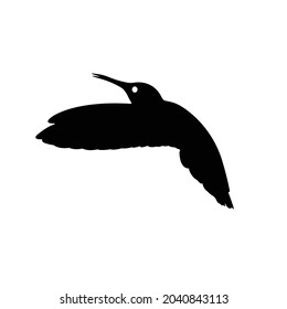 Hummingbird Silhouette on isolated background. Vector drawing
