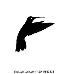 Hummingbird Silhouette on isolated background. Vector drawing
