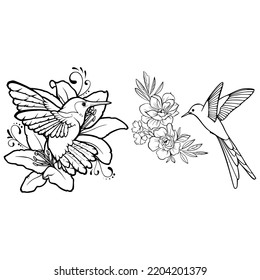 Hummingbird Silhouette Sketch Hummingbirds Hand Drawn Stock Vector ...