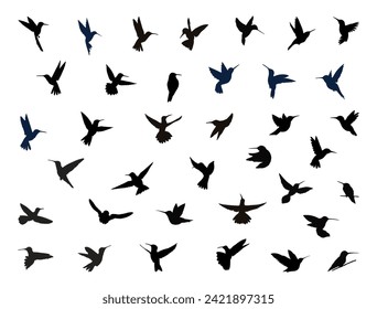 Hummingbird silhouette vector art white background