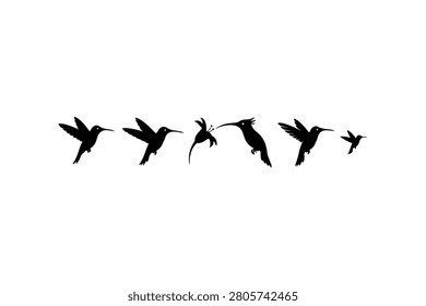 Hummingbird Silhouette Vector Collection Set