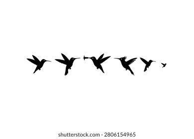 Hummingbird Silhouette Vector Collection Set