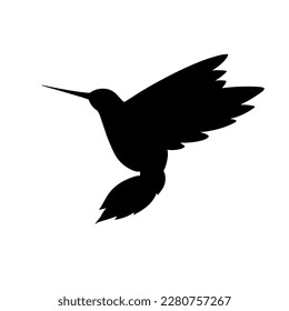 Hummingbird silhouette. Vector illustration. Colibri drawing. hummingbird black color