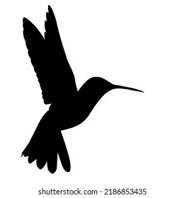 hummingbird silhouette vector illustration in flight on white background with eps format