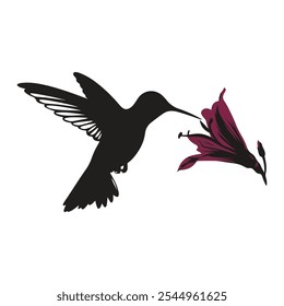 Hummingbird silhouette vector isolated on white. Small humming bird in flight.