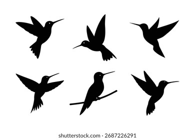 Hummingbird silhouette vector, Set of black Hummingbird silhouette vector 