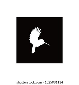 hummingBird Silhouettes - Vector