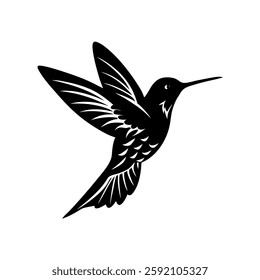 Hummingbird silhouttee illastration on white background 