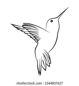 hummingbird sketch. flying bird picture. flat animal design with isolated white background.