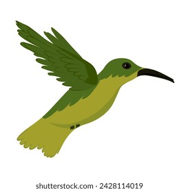 hummingbird is a small tropical bird. Vector stock illustration. isolated on a white background.