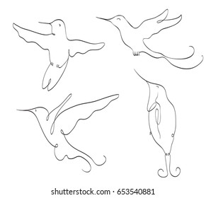 hummingbird symbol line art set on white. stylized drawing by hand of colibri. vector illustration
